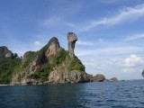 Chicken island