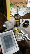 Reading Paulo Coelho over avocado goat cheese lunch