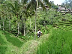 just a nice picture @ rice fields Ubud