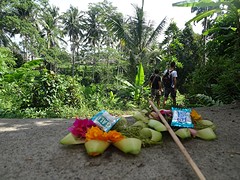 Balinese offering at the street
