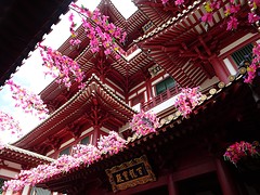 Boeddhistische tempel @ Singapore