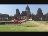 Doing gymnastic with Janine