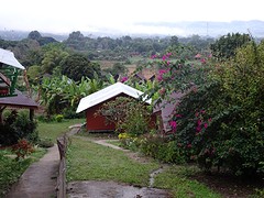 DSC02748
