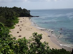 DSC05277