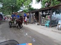 DSC07973