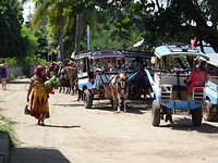 DSC08095