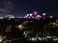 DSC08477