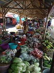 DSC07950