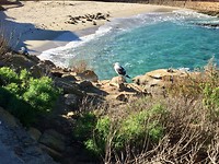 La Jolla Cove