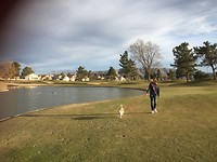 walking the dog, over the golf course
