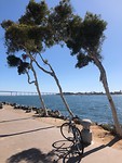 beautiful harbor at San Diego