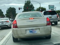 special license plate