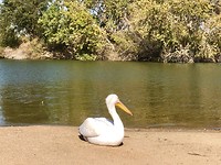 IMG_0579