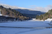 DSC_0045