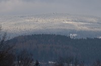 DSC_0249