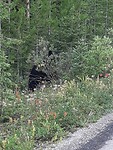 20190810_092919