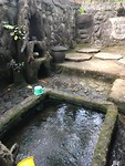Reinigingsbad