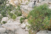 B009434-R1-05-6A