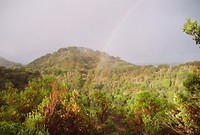 B009434-R1-13-14A