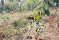 B009434-R1-07-8A