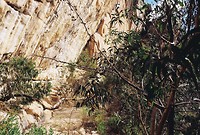 B009434-R1-00-1A