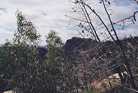 B009434-R1-01-2A