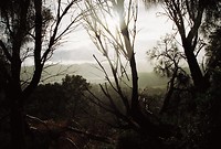 B009434-R1-14-15A