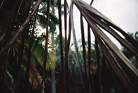 B009434-R2-21-22