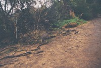 B009434-R1-16-17A