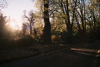 000033