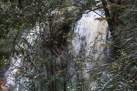 IMG_2863
