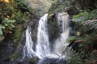 IMG_2864