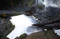 IMG_2865
