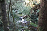 IMG_2867