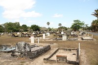 IMG_2887