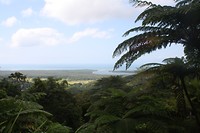 IMG_2901