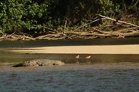 IMG_2931