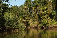 IMG_2941