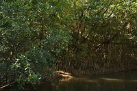 IMG_2945