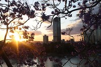 IMG_3024