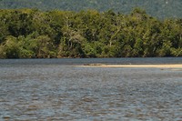 IMG_2929