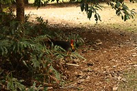 IMG_2878
