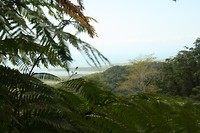IMG_2898