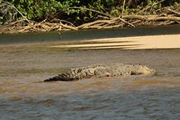 IMG_2934