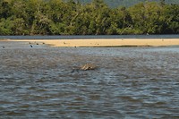 IMG_2928