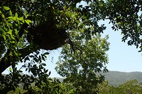 IMG_2910