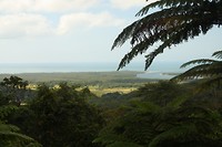 IMG_2896