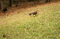 IMG_2882