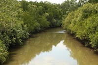 IMG_2877