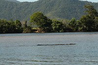IMG_2940